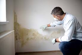 Mold Odor Removal Services in Fernandina Beach, FL